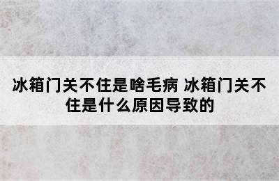 冰箱门关不住是啥毛病 冰箱门关不住是什么原因导致的